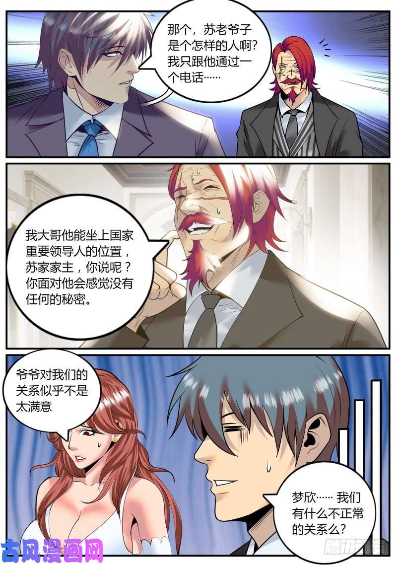 超级兵王在都市苏老爷子