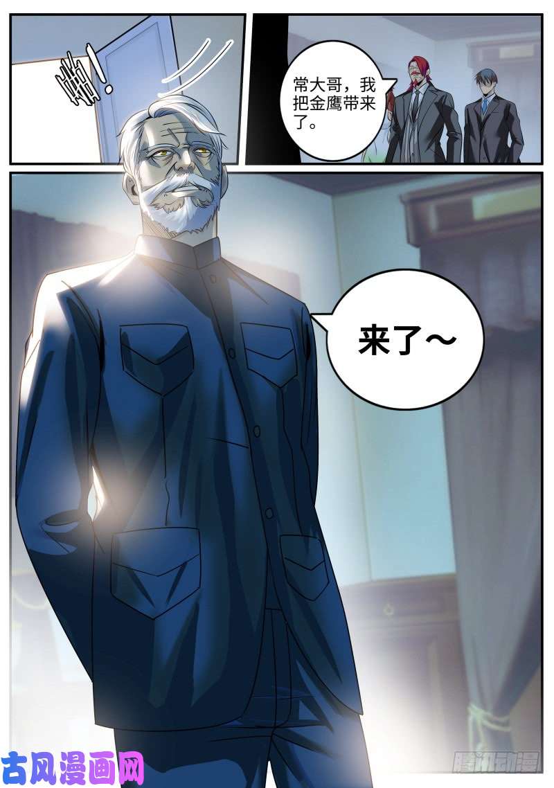 超级兵王在都市苏老爷子