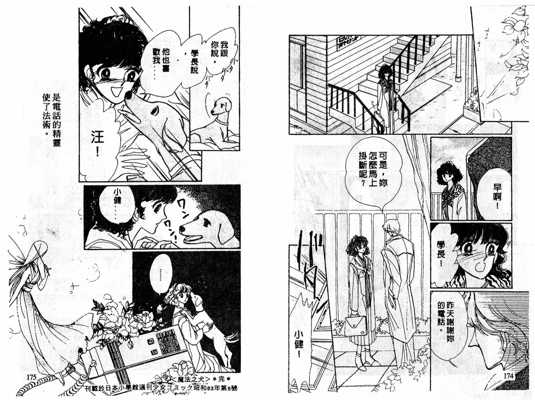 忍者之花全一话