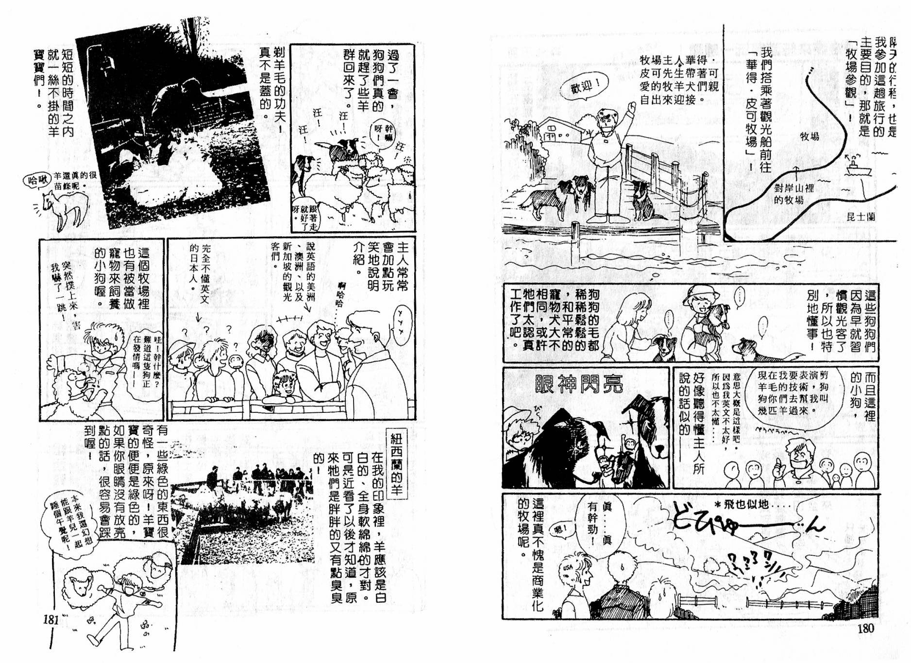 忍者之花全一话