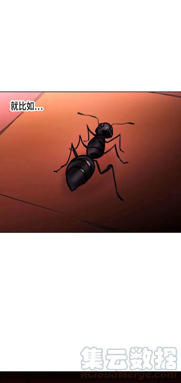 少女的审判12话