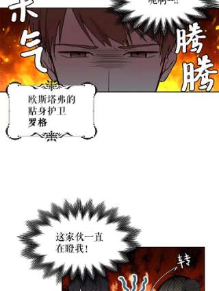 绿荫之冠2.我是站在你这边的