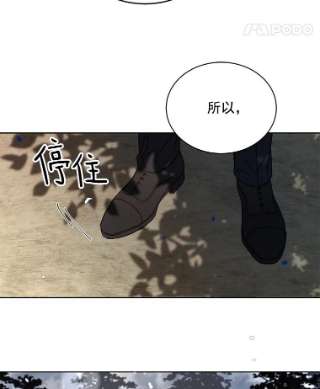 绿荫之冠2.我是站在你这边的