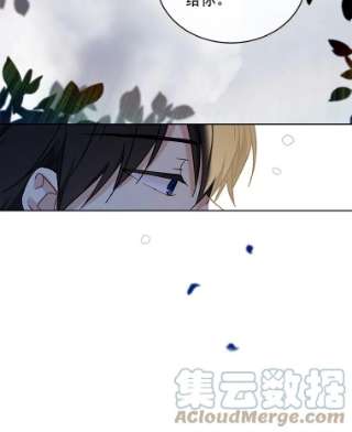 绿荫之冠2.我是站在你这边的