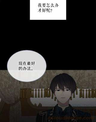 绿荫之冠2.我是站在你这边的