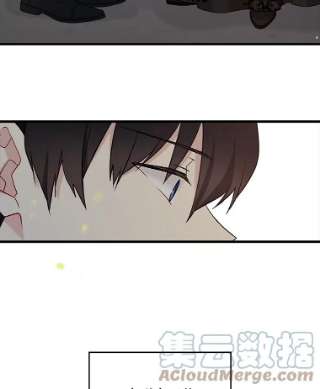 绿荫之冠3.我要做临时家主！