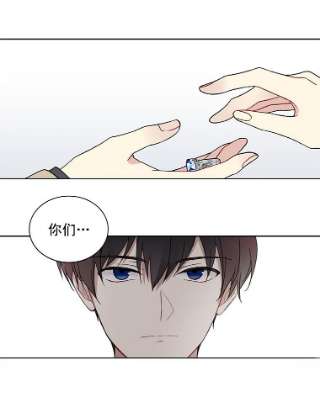 绿荫之冠4.相信我