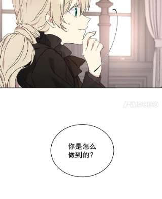 绿荫之冠4.相信我