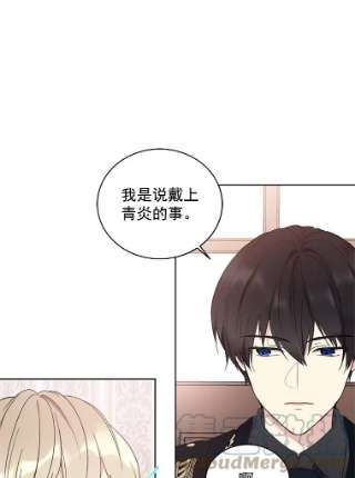 绿荫之冠4.相信我