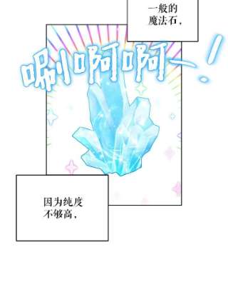 绿荫之冠4.相信我