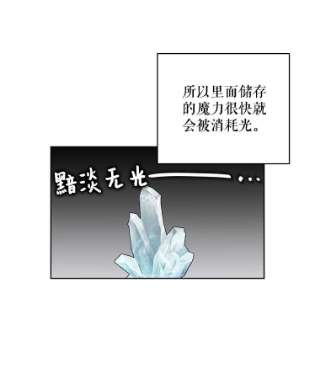 绿荫之冠4.相信我