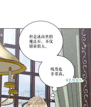 绿荫之冠4.相信我