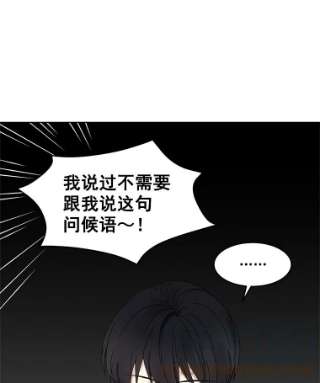 绿荫之冠4.相信我