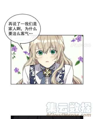 绿荫之冠4.相信我