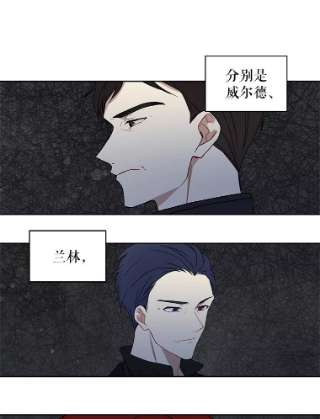 绿荫之冠4.相信我