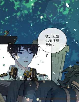 绿荫之冠4.相信我