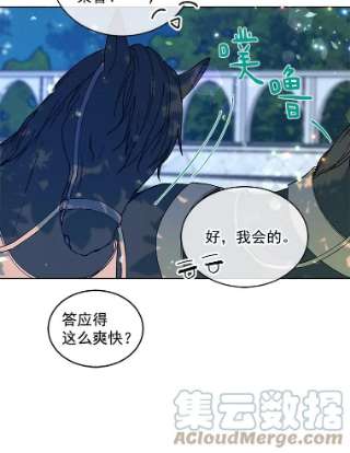 绿荫之冠4.相信我