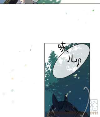 绿荫之冠4.相信我