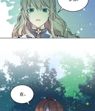 绿荫之冠4.相信我