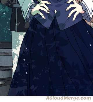 绿荫之冠4.相信我