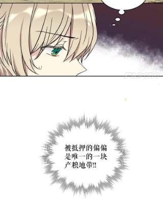 绿荫之冠5.公爵府的现状