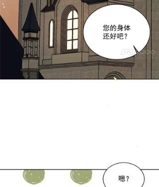 绿荫之冠7.发现魔法石