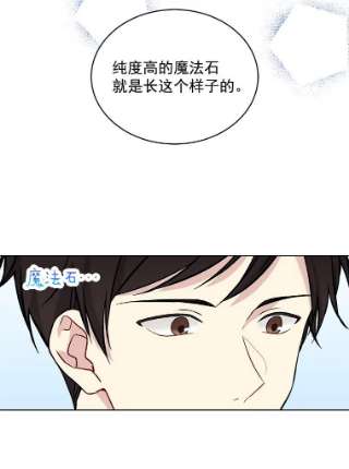 绿荫之冠7.发现魔法石