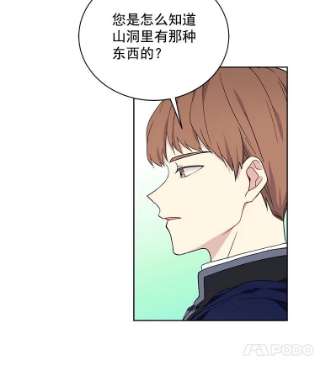 绿荫之冠7.发现魔法石