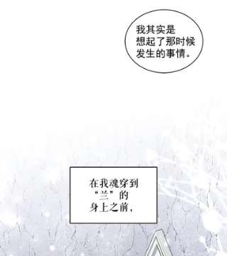 绿荫之冠7.发现魔法石