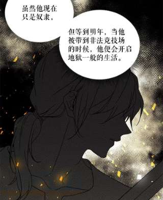 绿荫之冠7.发现魔法石