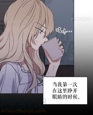 绿荫之冠8.商团主人来访