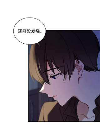 绿荫之冠9.公爵府有救了