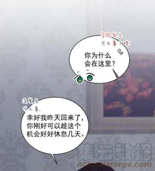 绿荫之冠10.不要杀我…