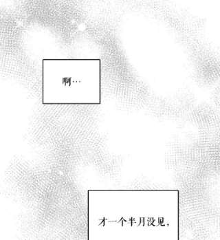 绿荫之冠11.你是不是不相信我