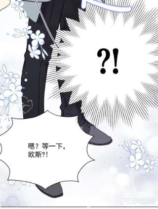 绿荫之冠11.你是不是不相信我