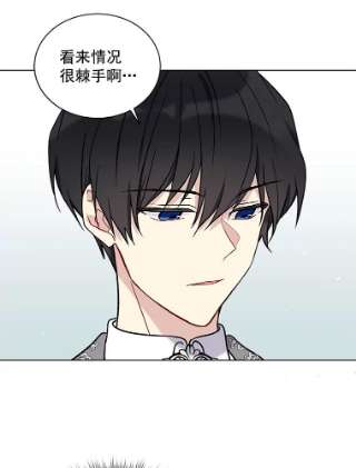 绿荫之冠12.打击利德保男爵