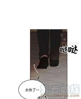 绿荫之冠12.打击利德保男爵
