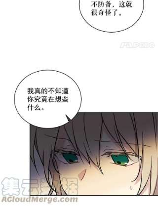 绿荫之冠13.你到底在想什么