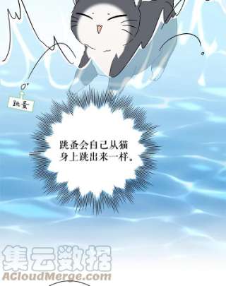 绿荫之冠14.阴狠的利德保
