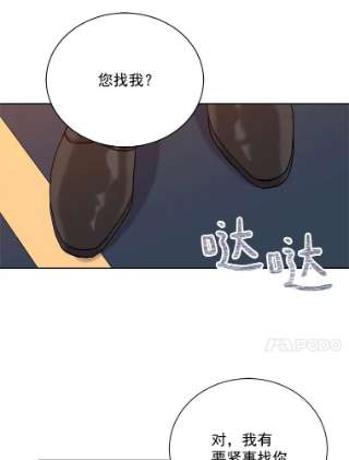 绿荫之冠14.阴狠的利德保