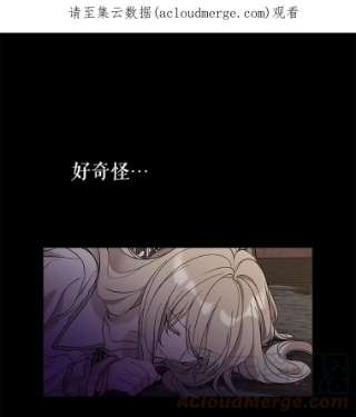 绿荫之冠16.这是…精灵？