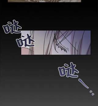 绿荫之冠16.这是…精灵？