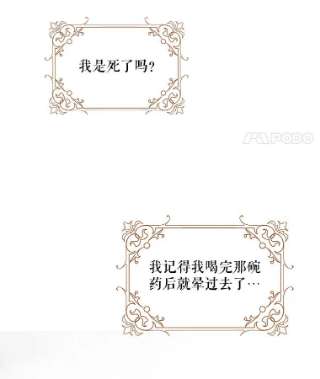 绿荫之冠16.这是…精灵？