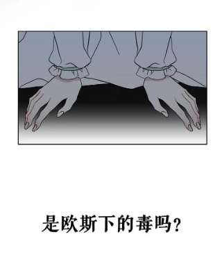 绿荫之冠16.这是…精灵？