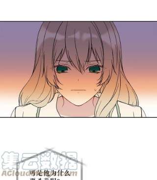 绿荫之冠16.这是…精灵？