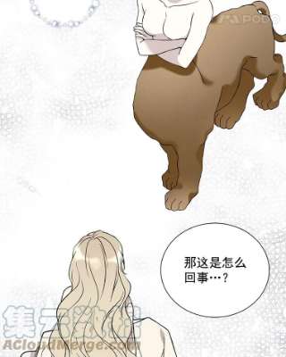 绿荫之冠16.这是…精灵？