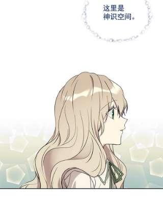 绿荫之冠16.这是…精灵？