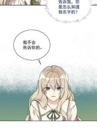 绿荫之冠16.这是…精灵？