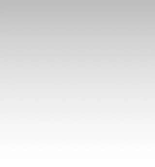 绿荫之冠16.这是…精灵？