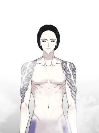 绿荫之冠16.这是…精灵？